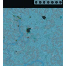Farmer vs Hunter X v2.64 terrain minimap