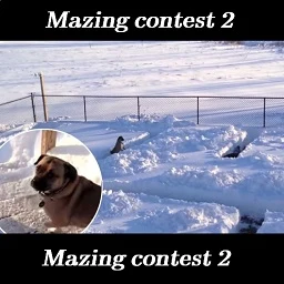 Mazing Contest v2.8 lobby preview
